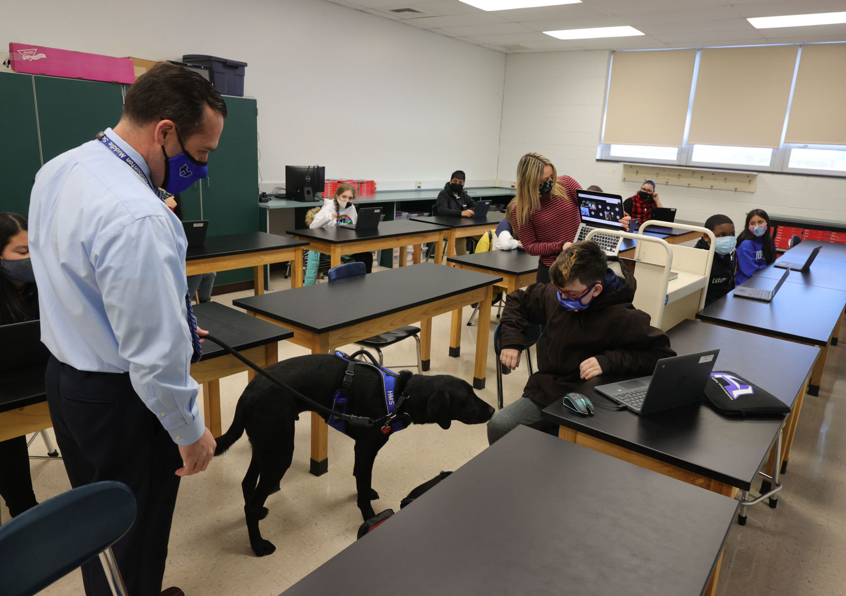 Wally Therapy Dog